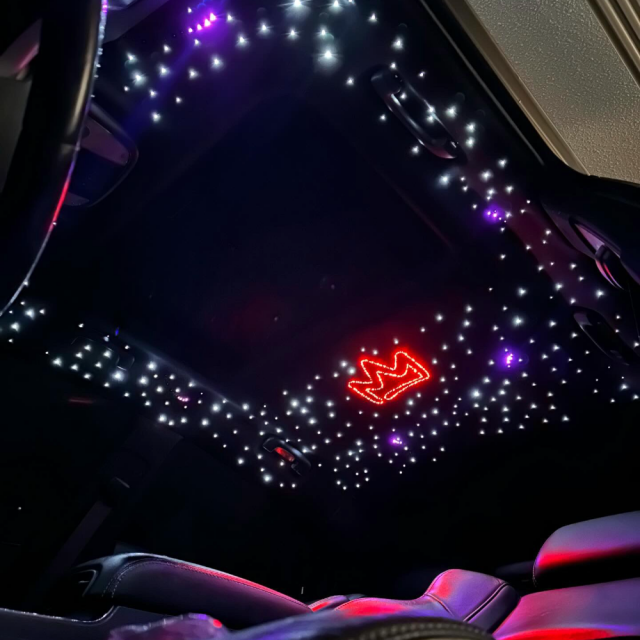 RGBW LED SHOOTING STAR Starlight Headliner Roof Kit