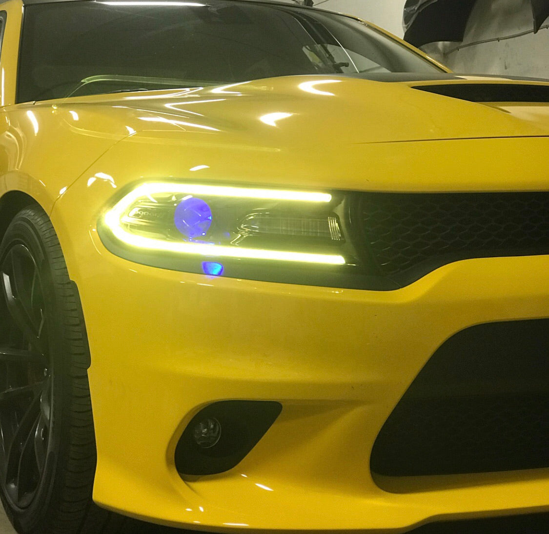 2015-2023 Dodge Charger RGBW +A LED DRL Replacement Boards LED headlight kit AutoLEDTech Oracle Lighting Trendz Flow Series RGBHaloKits OneUpLighting Morimoto
