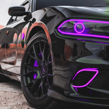 2015-2022 Dodge Charger RGBW Color-Chasing Waterproof Fog Light Outline Halo Kit LED headlight kit AutoLEDTech Oracle Lighting Trendz Flow Series RGBHaloKits OneUpLighting Morimoto