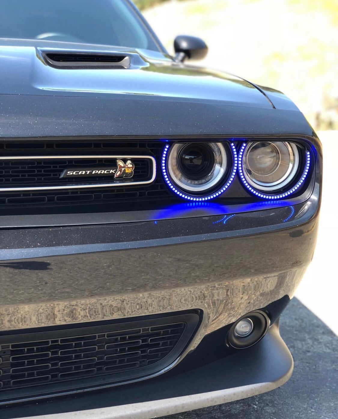 2015-2023 Dodge Challenger WATERPROOF RGBW Color-Chasing Exterior Halo Kit (Flow Series) LED headlight kit AutoLEDTech Oracle Lighting Trendz Flow Series RGBHaloKits OneUpLighting Morimoto