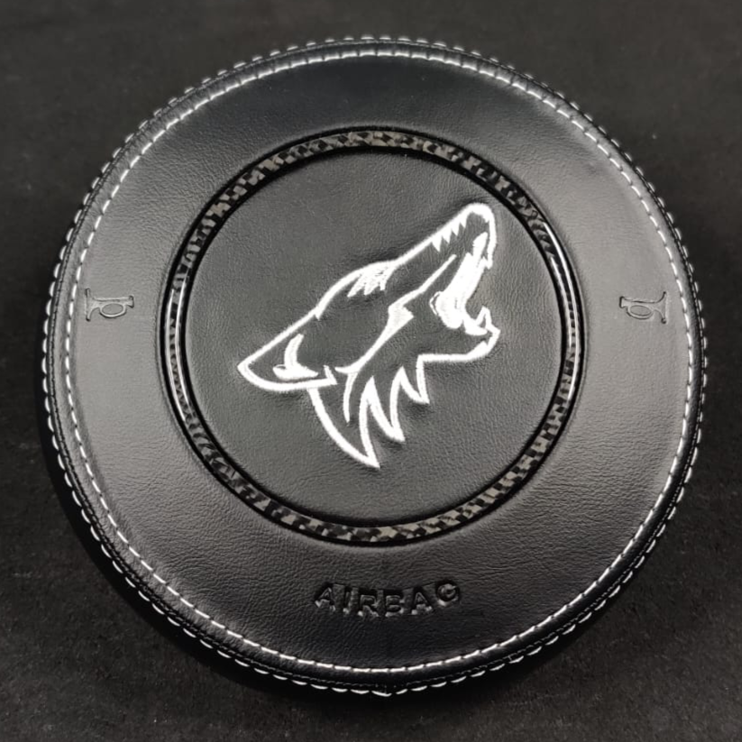 2015-2023 Ford Mustang Custom Airbag Cover - AutoLEDTech.com