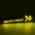 2015-2023 Dodge Charger Challenger Scatpack White or RGB LED Badge Emblem Logo
