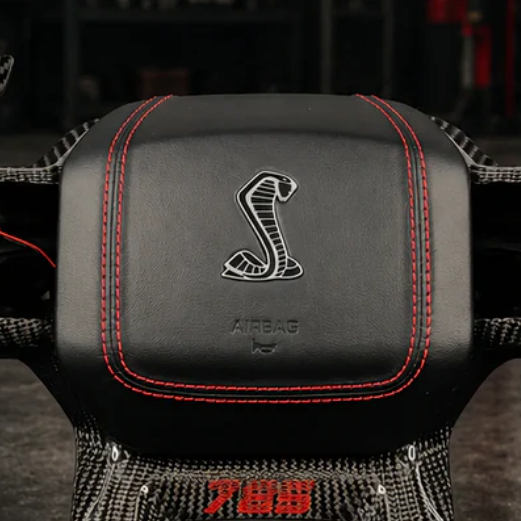 2021-2027+ Ford F150 & Raptor Shelby Airbag Cover - IN STOCK!
