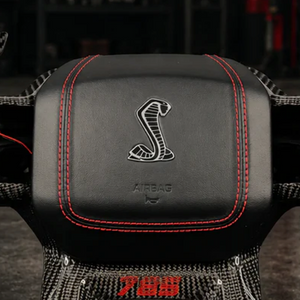 2021-2027+ Ford F150 & Raptor Shelby Airbag Cover - IN STOCK!