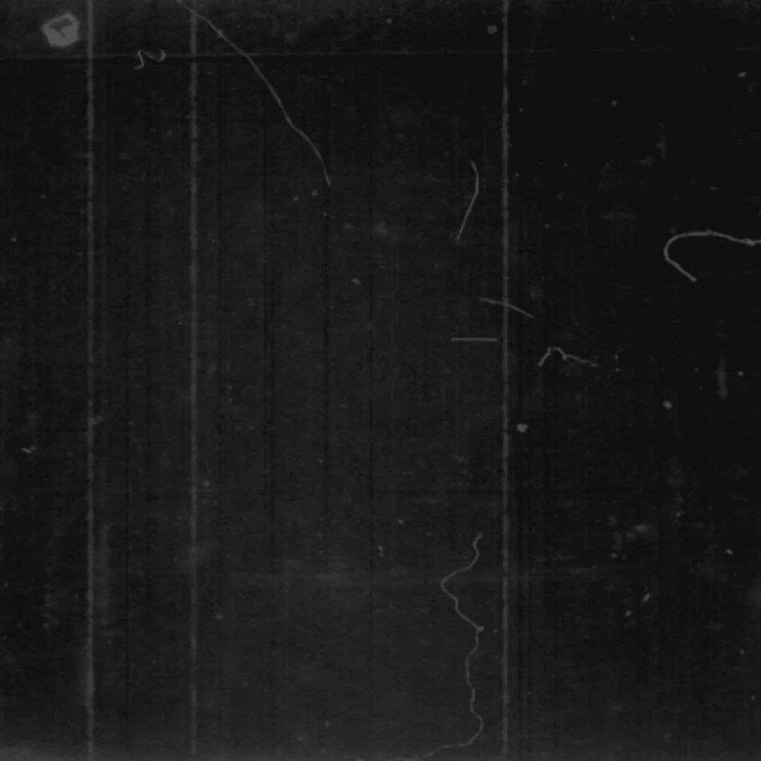 2023-2026+ Ford Super Duty LED DRL Projector Headlights (Halogen upgrade)