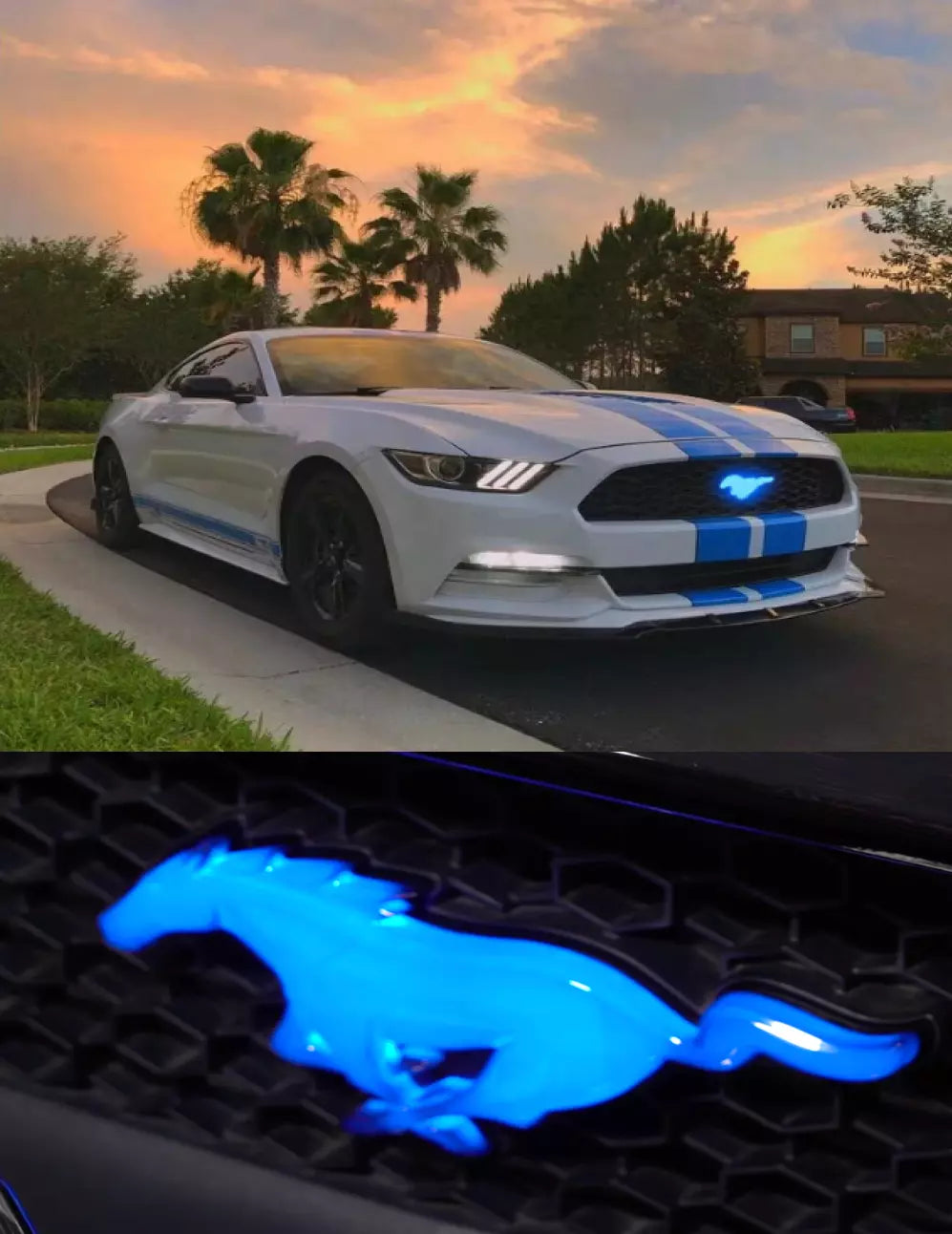 2010 2023 Ford Mustang Pony Color Changing LED Illuminated Front Grill AutoLEDTech