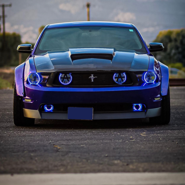 Mustang halo lights sale