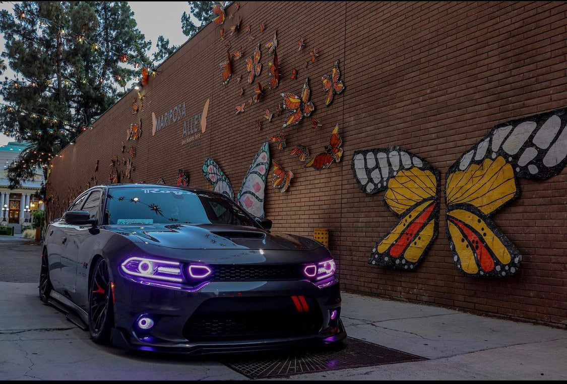 2015-2023 Dodge Charger RGBW Color Chasing LED Grill Snorkel Air Intake Halo Kit LED headlight kit AutoLEDTech Oracle Lighting Trendz Flow Series RGBHaloKits OneUpLighting Morimoto