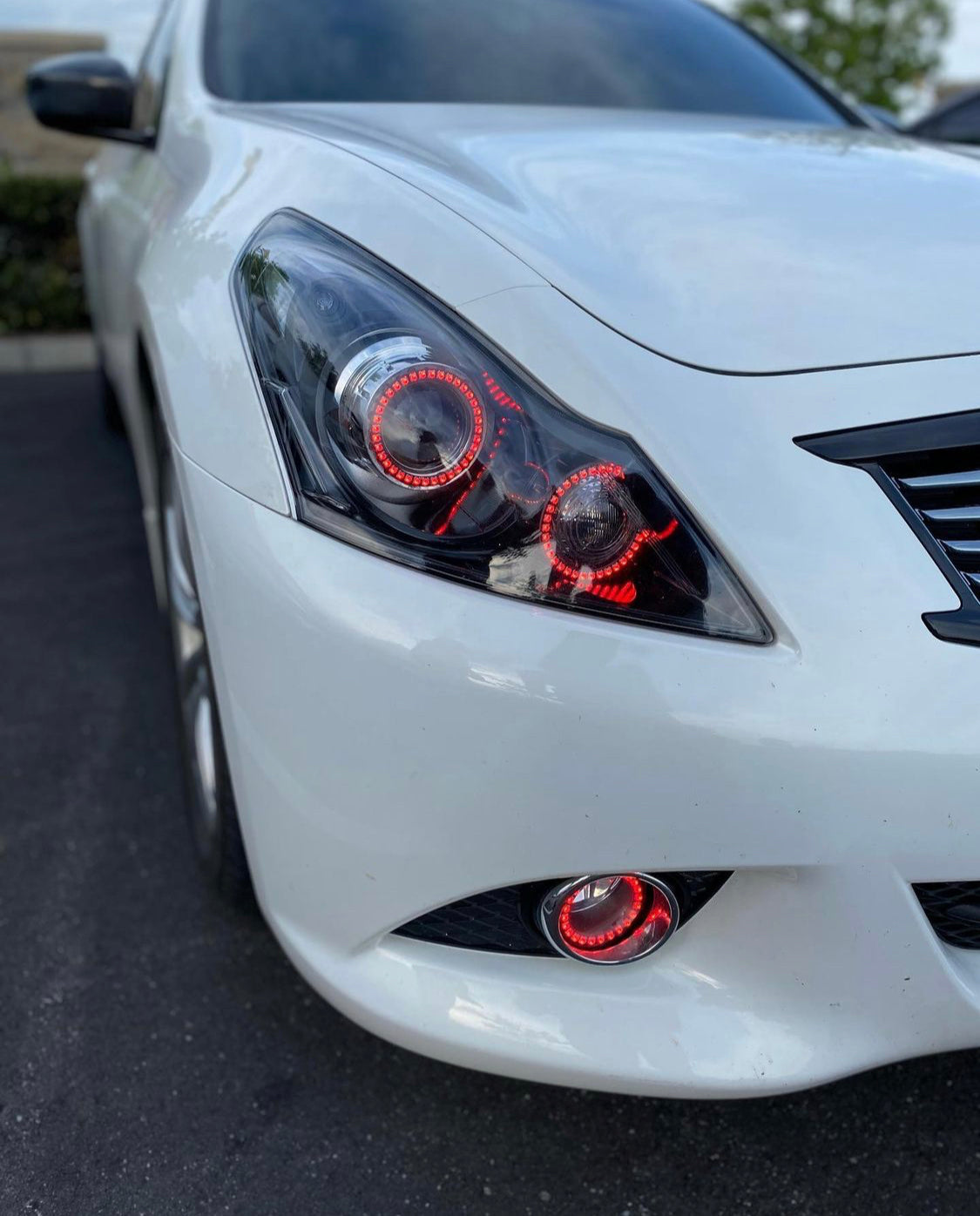 2007-2015 Infiniti G37/Q40/Q60 RGBW Color-Chasing Halo Kit LED headlight kit AutoLEDTech Oracle Lighting Trendz Flow Series RGBHaloKits OneUpLighting Morimoto