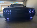 2008-2014 Dodge Challenger RGBW Color-Chasing LED Halo DRL Projector Headlights - 2015+ Style Design LED headlight kit AutoLEDTech Oracle Lighting Trendz Flow Series RGBHaloKits OneUpLighting Morimoto