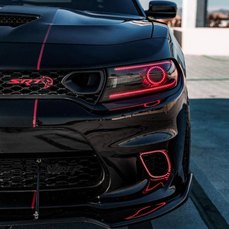 2015-2022 Dodge Charger RGBW Color-Chasing Waterproof Fog Light Outline Halo Kit LED headlight kit AutoLEDTech Oracle Lighting Trendz Flow Series RGBHaloKits OneUpLighting Morimoto