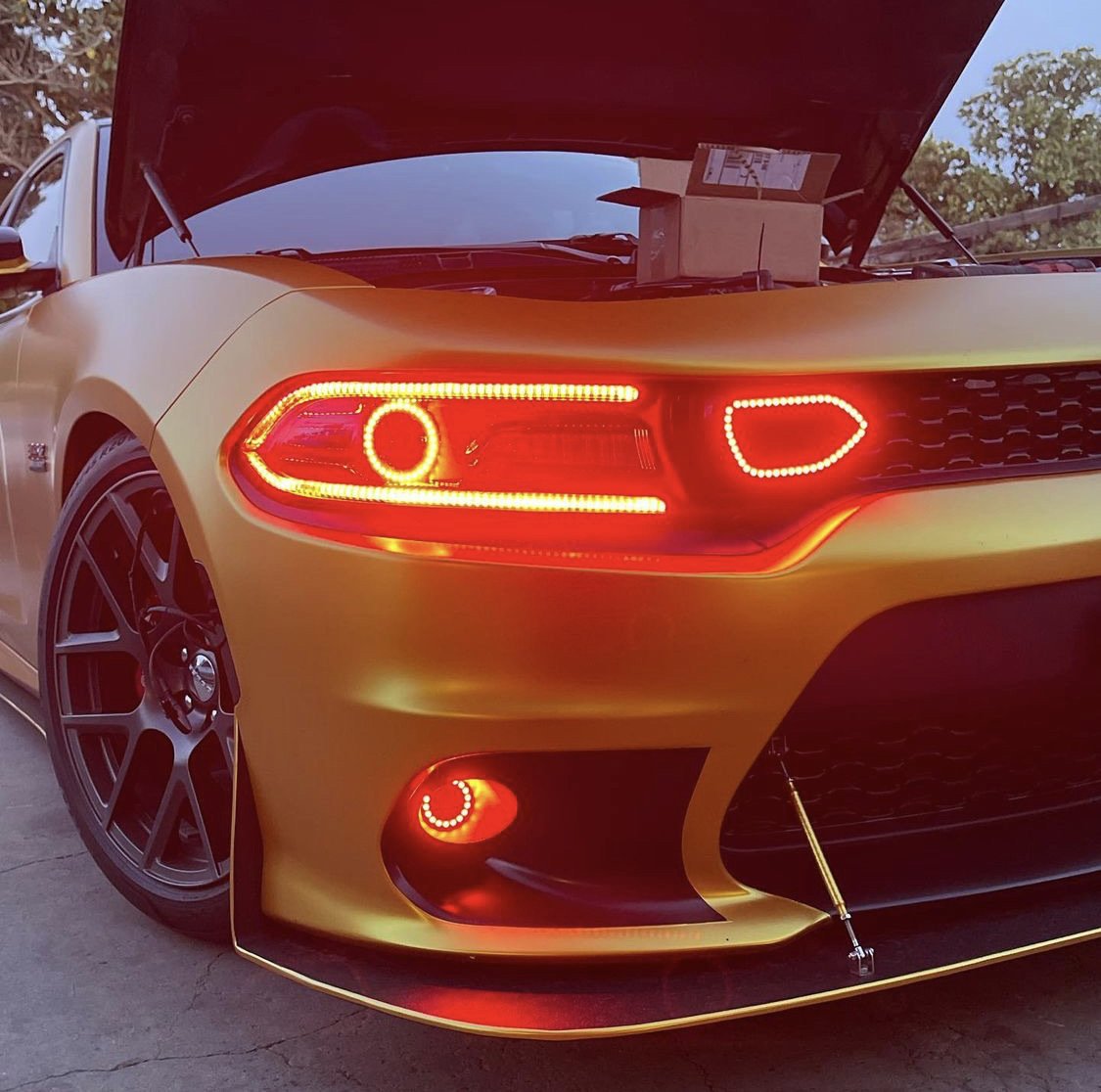 2015-2023 Dodge Charger RGBW Color Chasing LED Grill Snorkel Air Intake Halo Kit LED headlight kit AutoLEDTech Oracle Lighting Trendz Flow Series RGBHaloKits OneUpLighting Morimoto